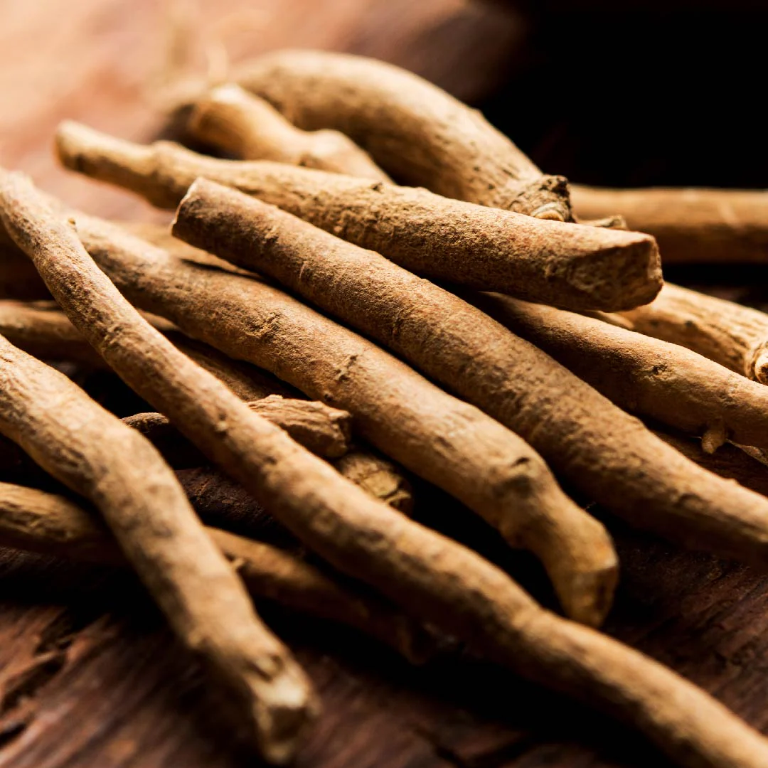 Ashwagandha Root Extract